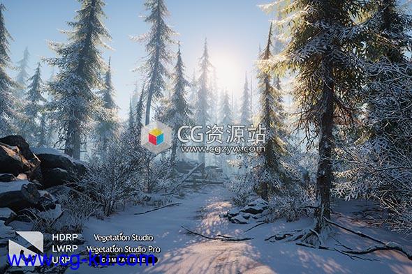 Unity冬季环境-自然包 Winter Environment – Nature Pack v1.4的图片1