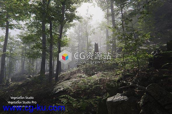 Unity森林环境-动态自然Forest Environment – Dynamic Nature v1.3的图片1