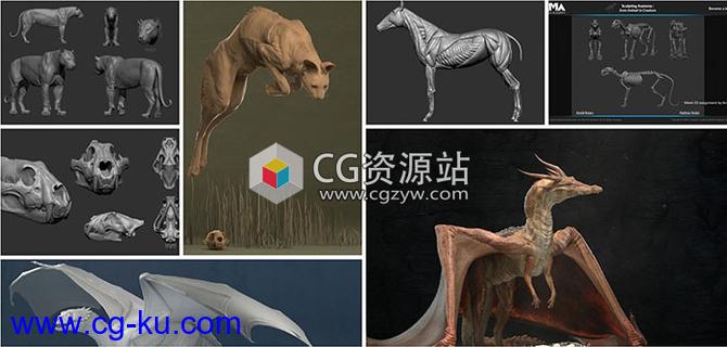 ZBrush动物雕刻解剖学大师级视频教程CGMA的图片2