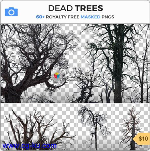 62个枯树树梢树枝PNG格式高清图片合集的图片2