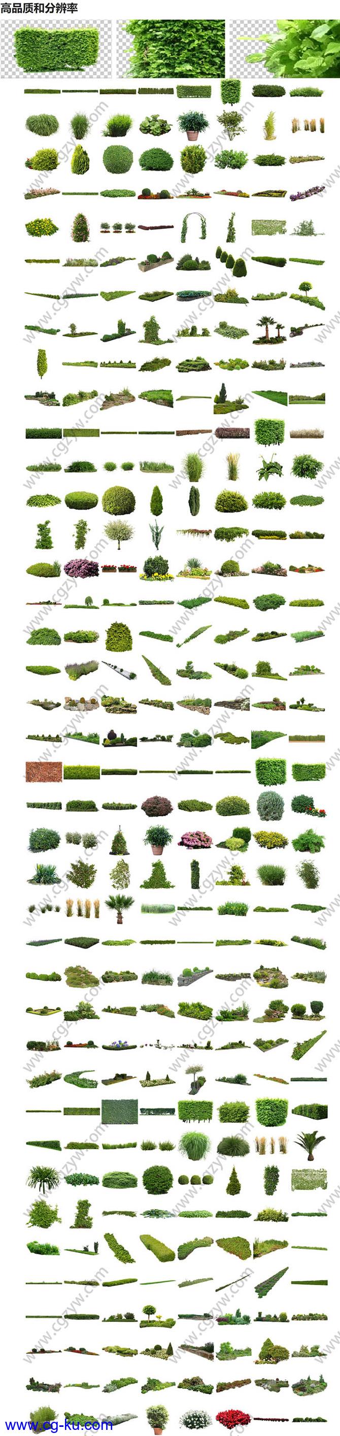 320组植物草花园元素灌木丛PNG格式高清图片V1-V4的图片2
