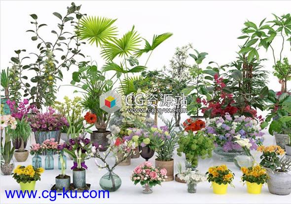56个室内植物盆栽花卉3D模型 Archmodels vol. 173的图片1