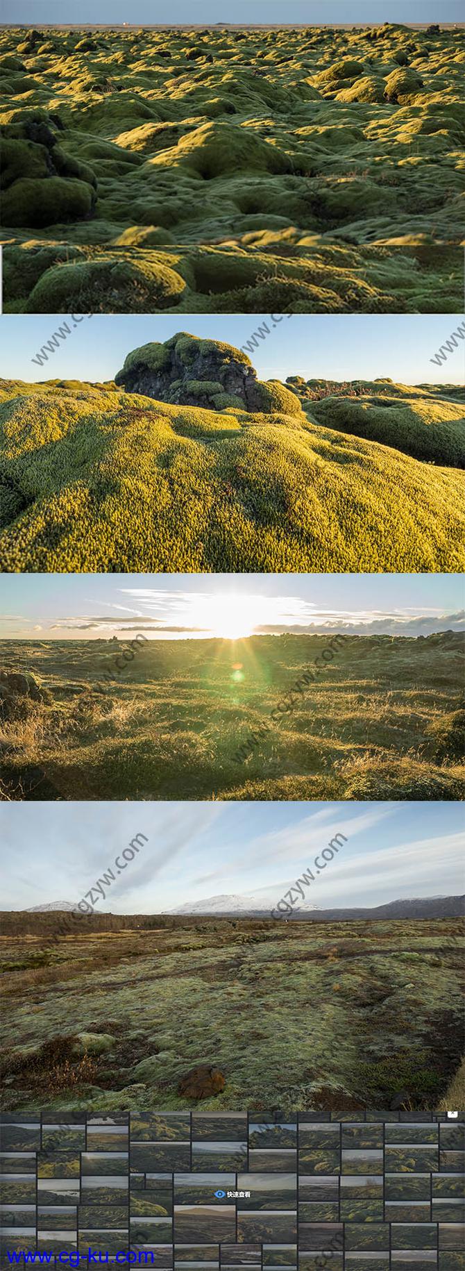 545组绿色草原荒野苔藓自然环境高清图片合集的图片1