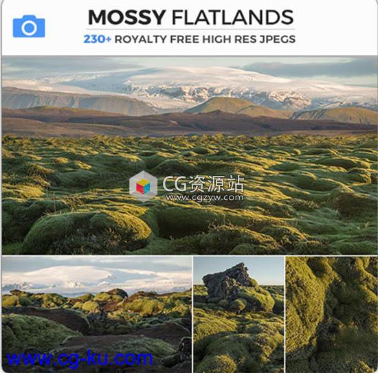 545组绿色草原荒野苔藓自然环境高清图片合集的图片2
