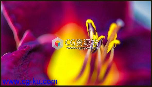 图片调节软件 Topaz Studio v2.3.1 Win/Mac破解版的图片1