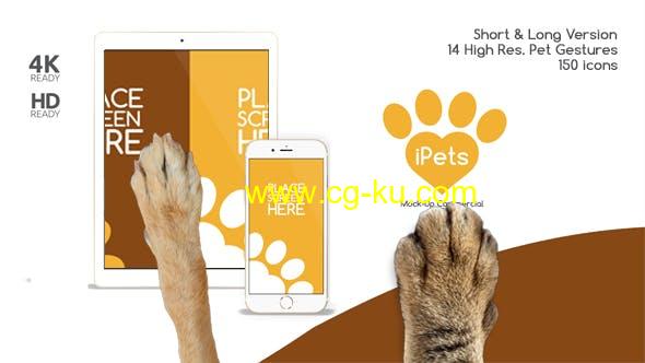 AE模板-宠物动物点击滑动手机设备图片 Pets Flat MockUp Device Kit的图片1