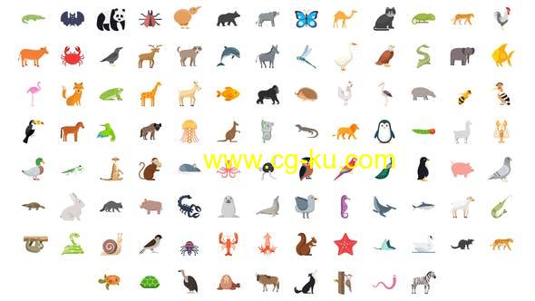 AE模板-100组动物鸟类鱼类昆虫图标ICON动画 100 Animals & Birds Icons的图片1