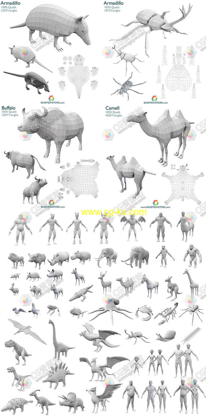 60组基础网格人物动物昆虫怪物等3D模型的图片1
