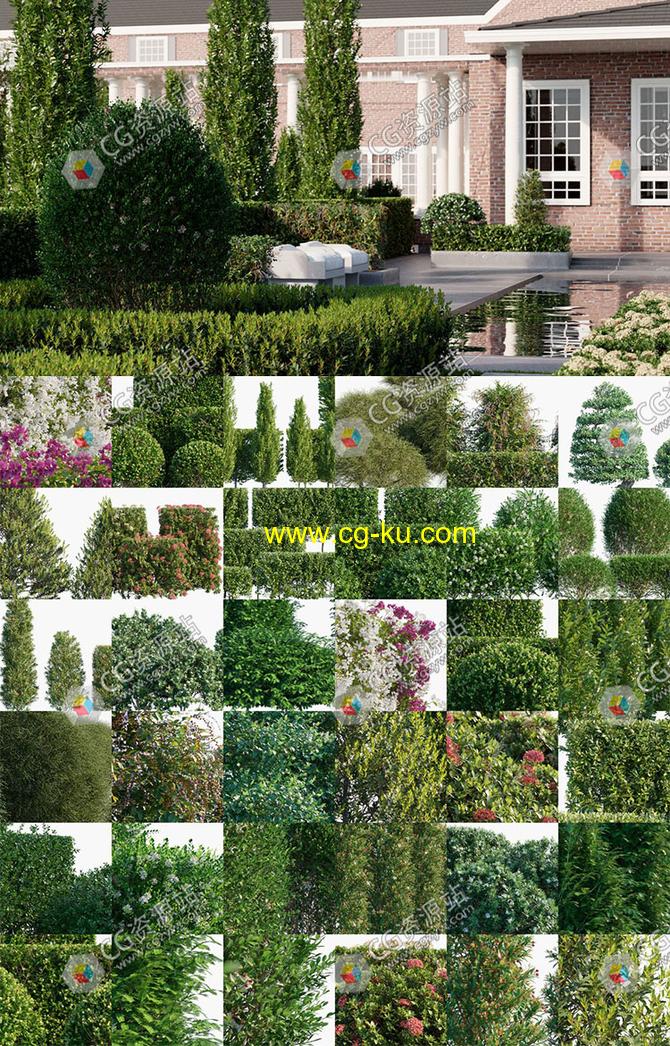 98组高质量观赏性景观植物绿篱花园栅栏3D模型的图片2