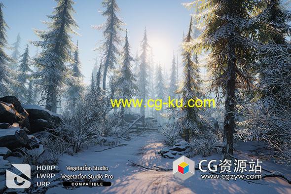 Unity冬季环境自然包 Winter Environment – Nature Pack v2.0的图片1