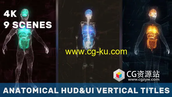 AE模板-科技感竖屏人体解剖医疗器官HUD动画 Anatomical Vertical HUD UI Titles的图片1