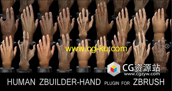 Zbrush制作人手模型工具插件 Human Zbuilder – Hand的图片1