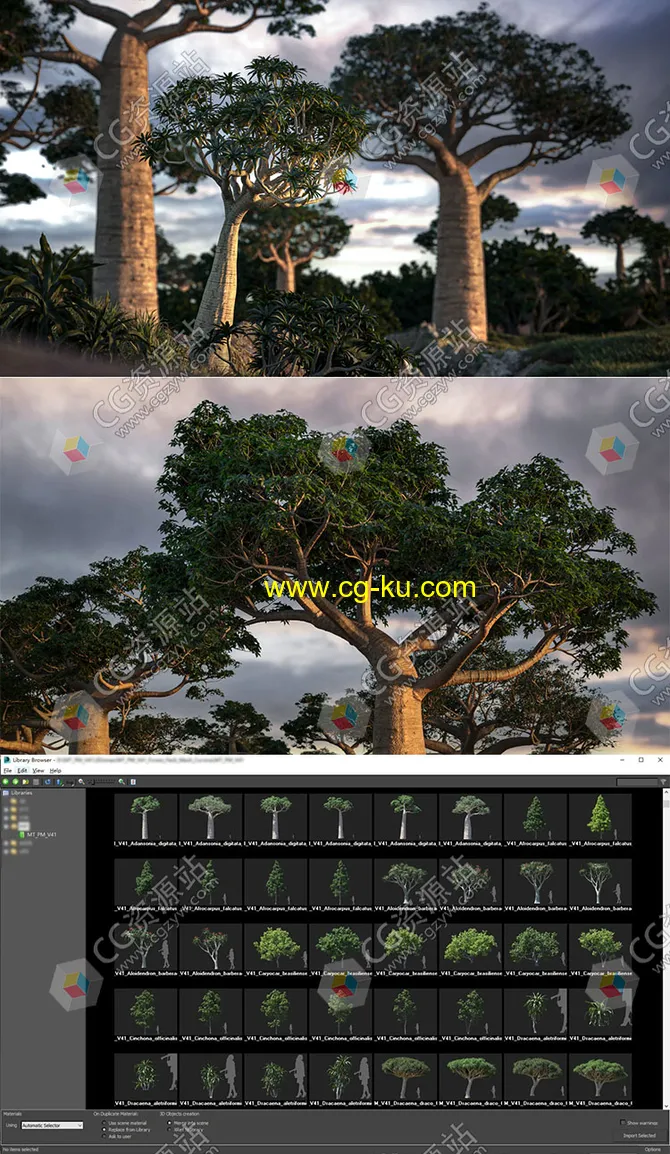 72个单模黄花梨果树金鸡纳黄柏等树木高质量3D模型的图片1