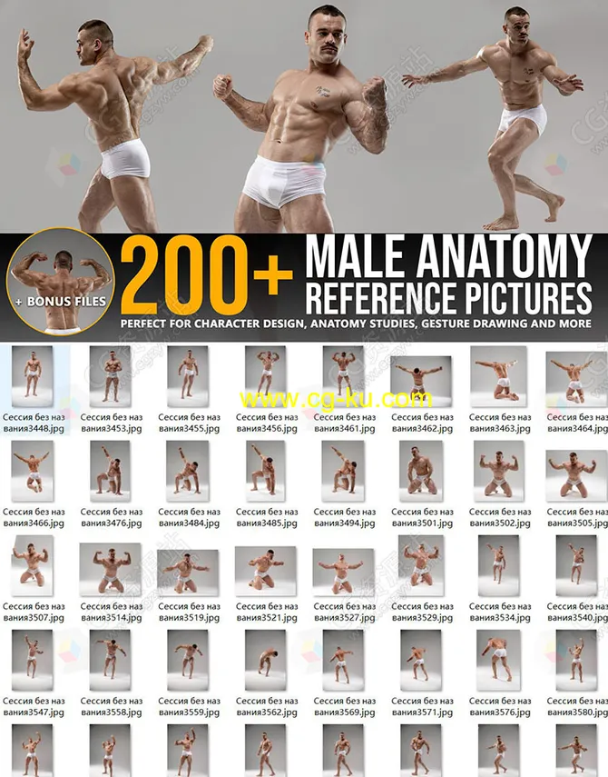 216张男性运动肌​​肉姿势造型解剖学参考图片的图片1
