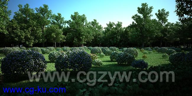 C4D植物生成插件预设园林场景地形植物库 Laubwerk SurfaceSPREAD v1.0.43 R17 WIN的图片1