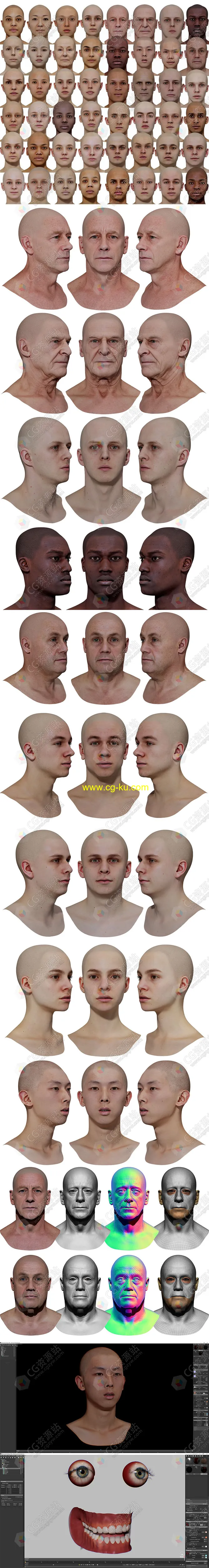 48组高精度男性女性头部扫描3D模型的图片1