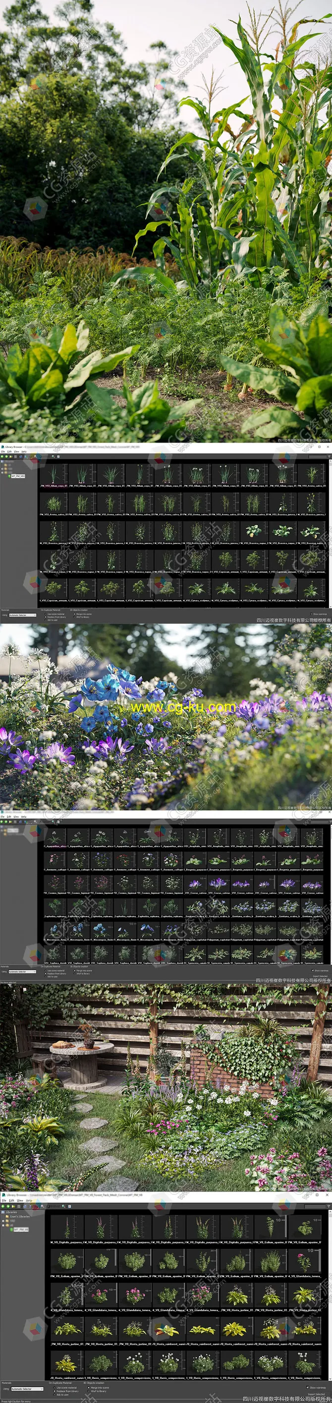 三套高质量花卉草木植物3D模型合集MAX格式V8/V91/V93的图片1