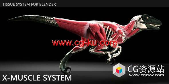 Blender肌肉系统模拟插件 X-Muscle System 3.0的图片1