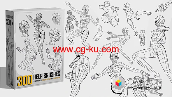 300种人类解剖学数字绘画PS笔刷预设+PNG图片的图片2
