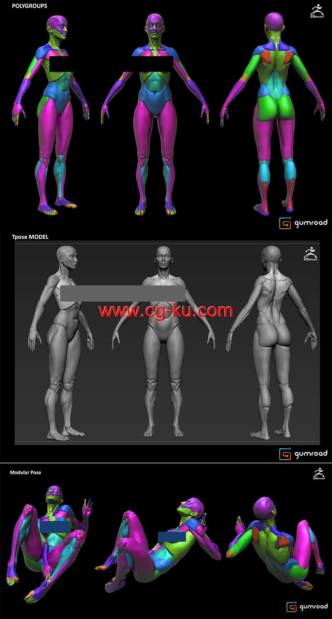 ZBrush女性雕刻解剖学人体肌肉结构模型预设+视频教程的图片2