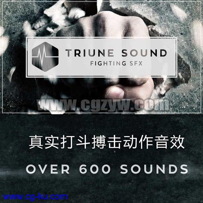 真实武打搏斗动作音效合集 Triune Sound- Fighting SFX Pack的图片1