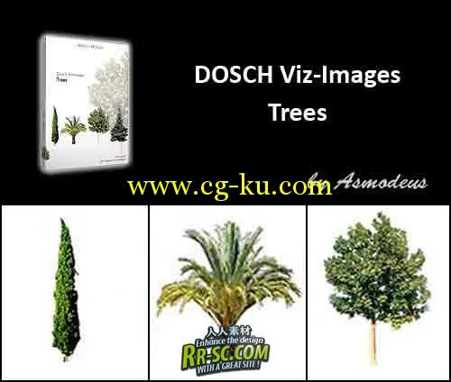3D树木模型贴图合辑 DOSCH Viz-Images: Trees的图片1