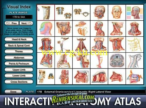 《交互式人体解剖学图谱教程》的图片3
