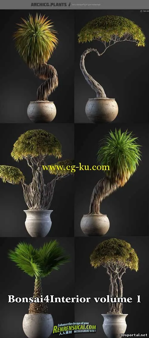 《植物盆栽盆景3D模型合辑》ArchiCG Plants Bonsai 4 Interior volume 1的图片1