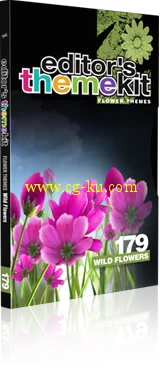 《DJ主题包装视频素材系列之唯美野生花卉》Digital Juice Editor’s Themekit 179 Wild Flowers的图片1