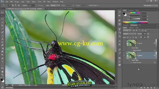 《Photoshop CS6一对一中级教程》Lynda.com Photoshop CS6 One-on-One Intermediate的图片2