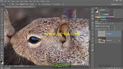 《Photoshop CS6一对一中级教程》Lynda.com Photoshop CS6 One-on-One Intermediate的图片3