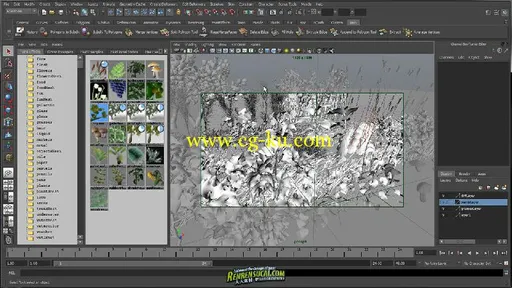 《MAYA与Mental ray制作照片级植物教程第一季》The Gnomon Workshop Creating Plan...的图片1