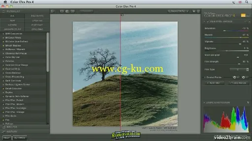 《Efex Pro 4色彩调色应用教程》video2brain Color Efex Pro 4 Workshop English的图片1