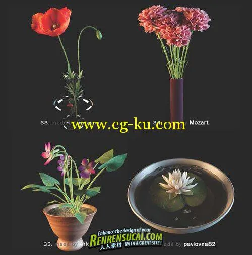 《高精度花草植物3D模型合辑》3DDD Flowers Models的图片2