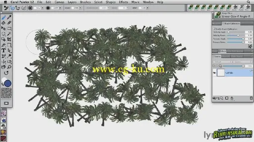 《Painter12基础入门训练教程》Lynda.com Painter 12 Essential Training的图片3
