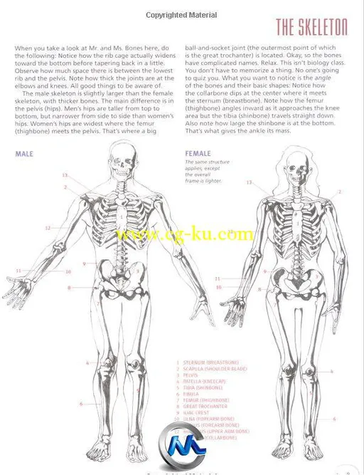 《漫画艺术家人物解剖参考书籍》Drawing Cutting Edge Anatomy The Ultimate Refer...的图片3