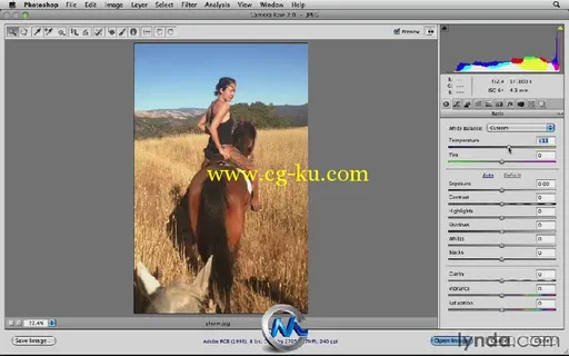 《Photoshop CS6 照片增强功能教程》Lynda.com Photoshop Insider Training Enhanc...的图片2