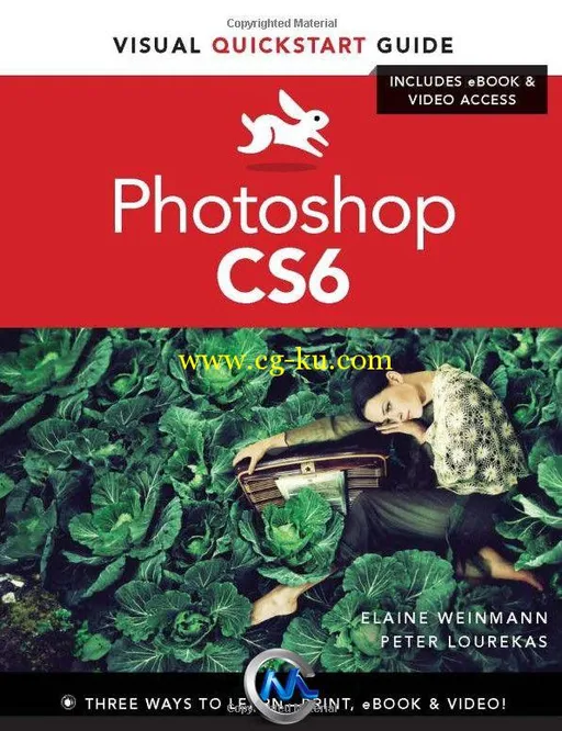 《Photoshop CS6 视觉快速入门指南书籍》Photoshop CS6 Visual QuickStart Guide的图片2