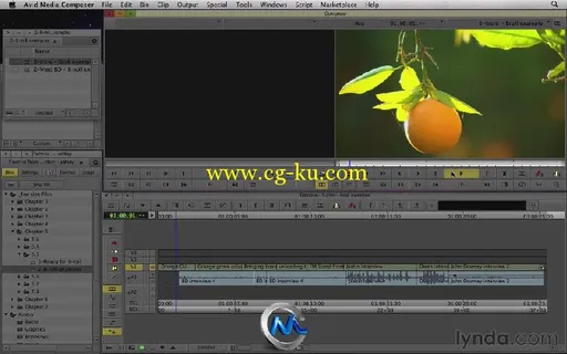 《Avid纪录片剪辑教程》Lynda.com Documentary Editing with Avid Media Composer的图片3