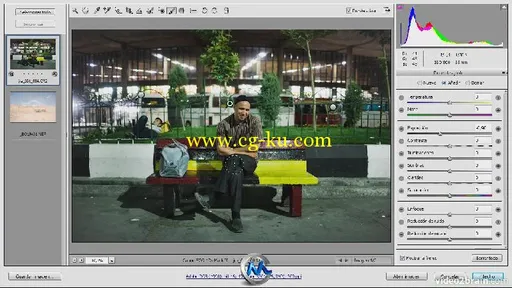 《Photoshop CS6从基础到专业视频教程》video2brain Photoshop CS6 ALL Spanish的图片2