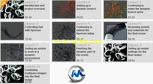 《C4D头发毛发制作视频教程》Digital-Tutors Creative Development Hair Dynamics ...的图片2