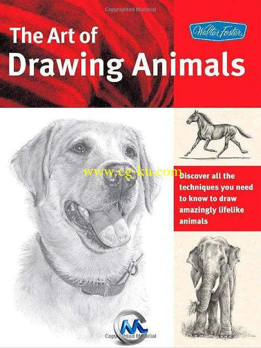 《动物手绘绘画技术艺术书籍》The Art of Drawing Animals Discover all the techn...的图片1