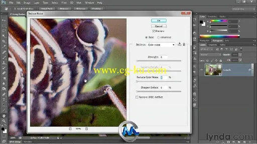 《PS CS6一对一高级教程》Lynda.com Photoshop CS6 One-on-One Advanced的图片2