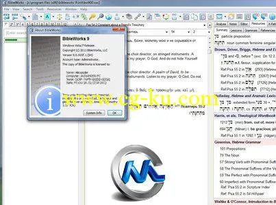 《圣经研究9》BibleWorks 9的图片2