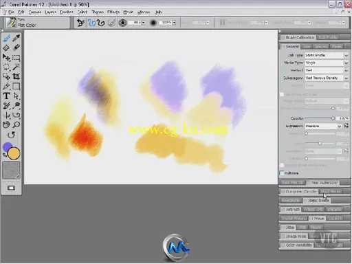 《Corel Painter高级训练视频教程》VTC Corel Painter 12 Advanced的图片1