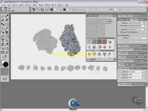 《Corel Painter高级训练视频教程》VTC Corel Painter 12 Advanced的图片2