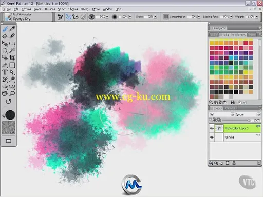 《Corel Painter 12基础训练视频教程》VTC Corel Painter 12的图片3