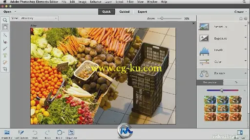 《Photoshop Elements 11综合训练视频教程》video2brain Adobe Photoshop Elements...的图片1