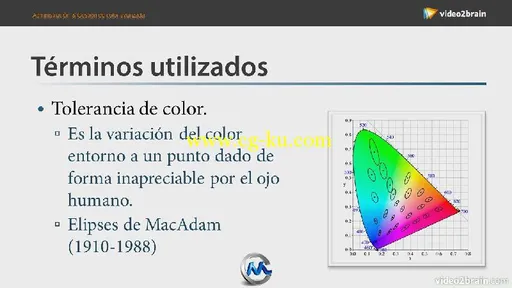 《色彩入门基础视频教程》video2brain Fundamentals of Color Spanish的图片1