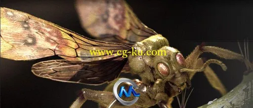 《超现实昆虫设计视频教程》The Gnomon Workshop Hyper real Insect Design with E...的图片5